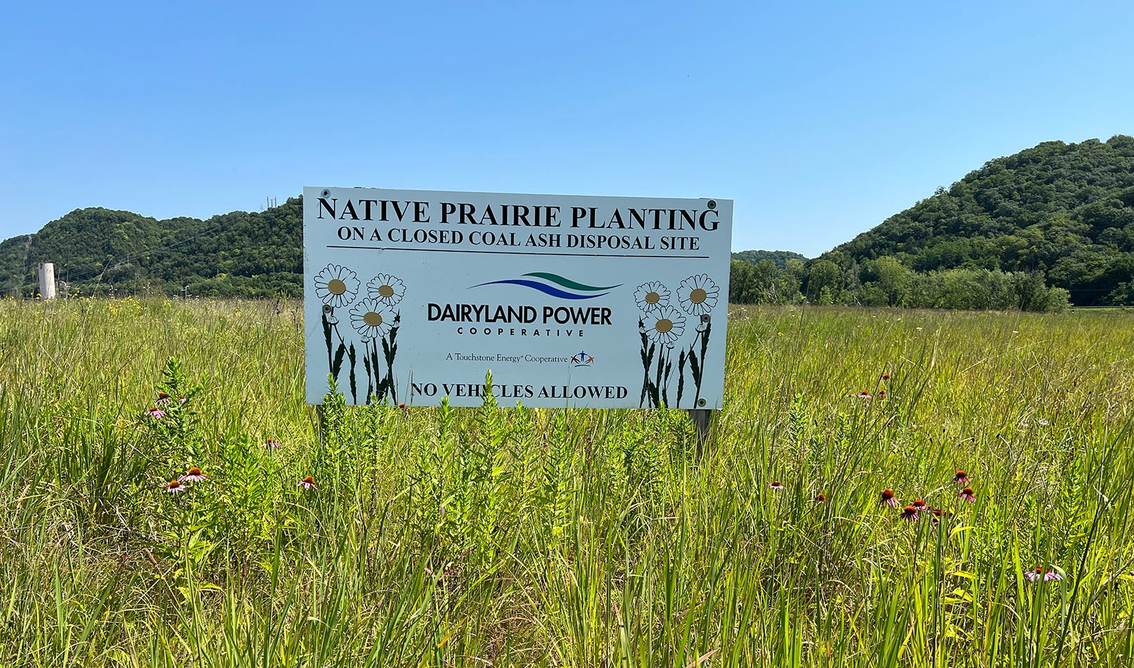 Earth Week Dairyland Expands Support of Pollinator Habitat Dairyland